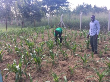 Brian en Robert aan het werk in de tuin